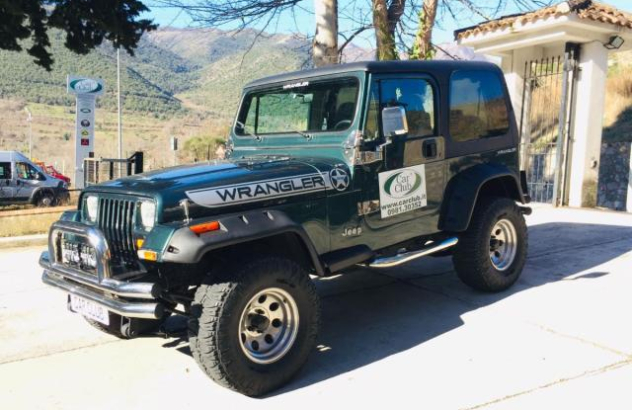 JEEP Wrangler cat Hardtop Limited Benzina 1993