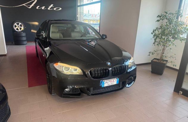 BMW Serie 5 525d Msport Diesel 2011