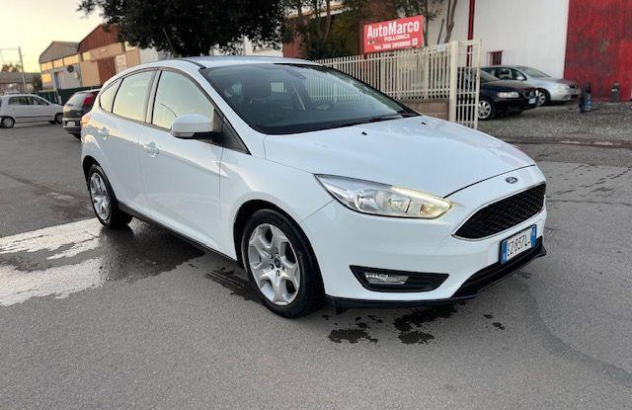 FORD Focus 1.5 TDCi 95 CV StarteStop Titanium Diesel 2015