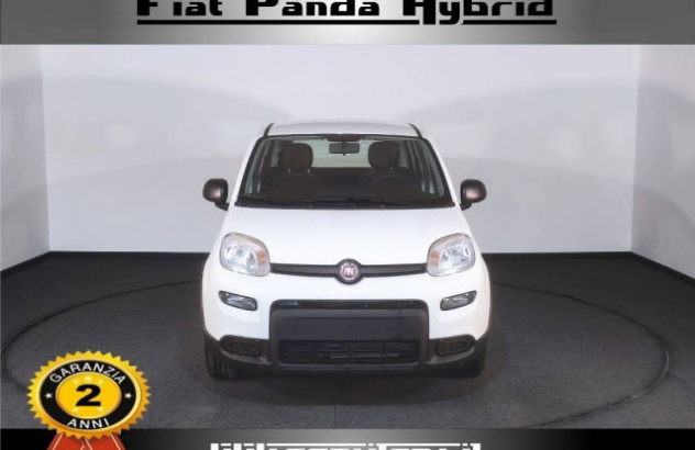 FIAT Panda  Elettrica-Benzina 2023