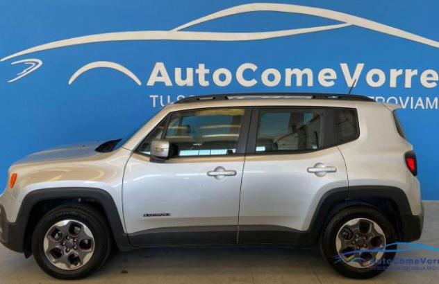 JEEP Renegade 1.6 Mjt 105CV Business Diesel 2017