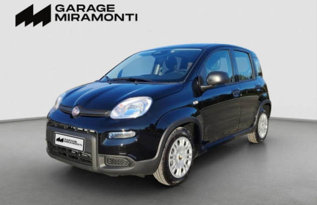 FIAT Panda  Elettrica-Benzina 2024