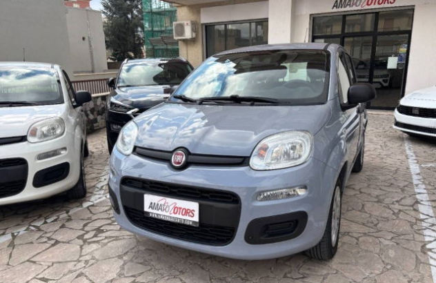 FIAT Panda  Benzina 2019