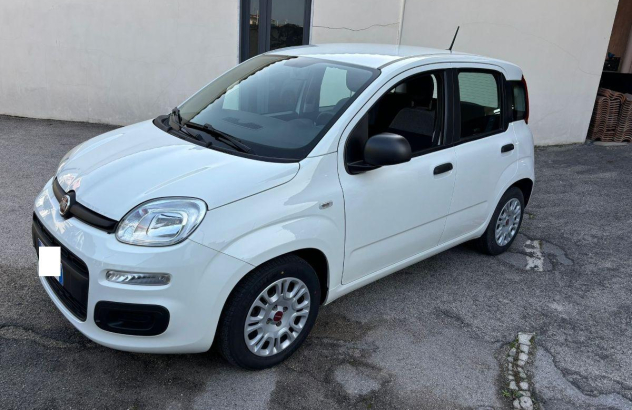 FIAT Panda 1.0 FireFly SeS Hybrid Easy Elettrica-Benzina 2021