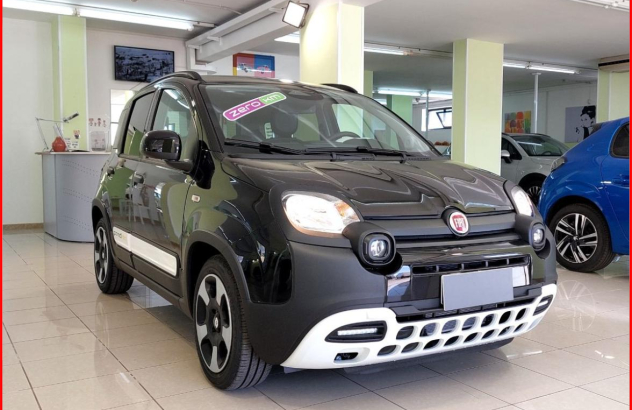 FIAT Panda  Elettrica-Benzina 2024