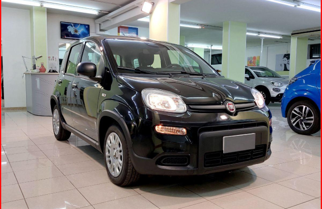 FIAT Panda  Elettrica-Benzina 2024